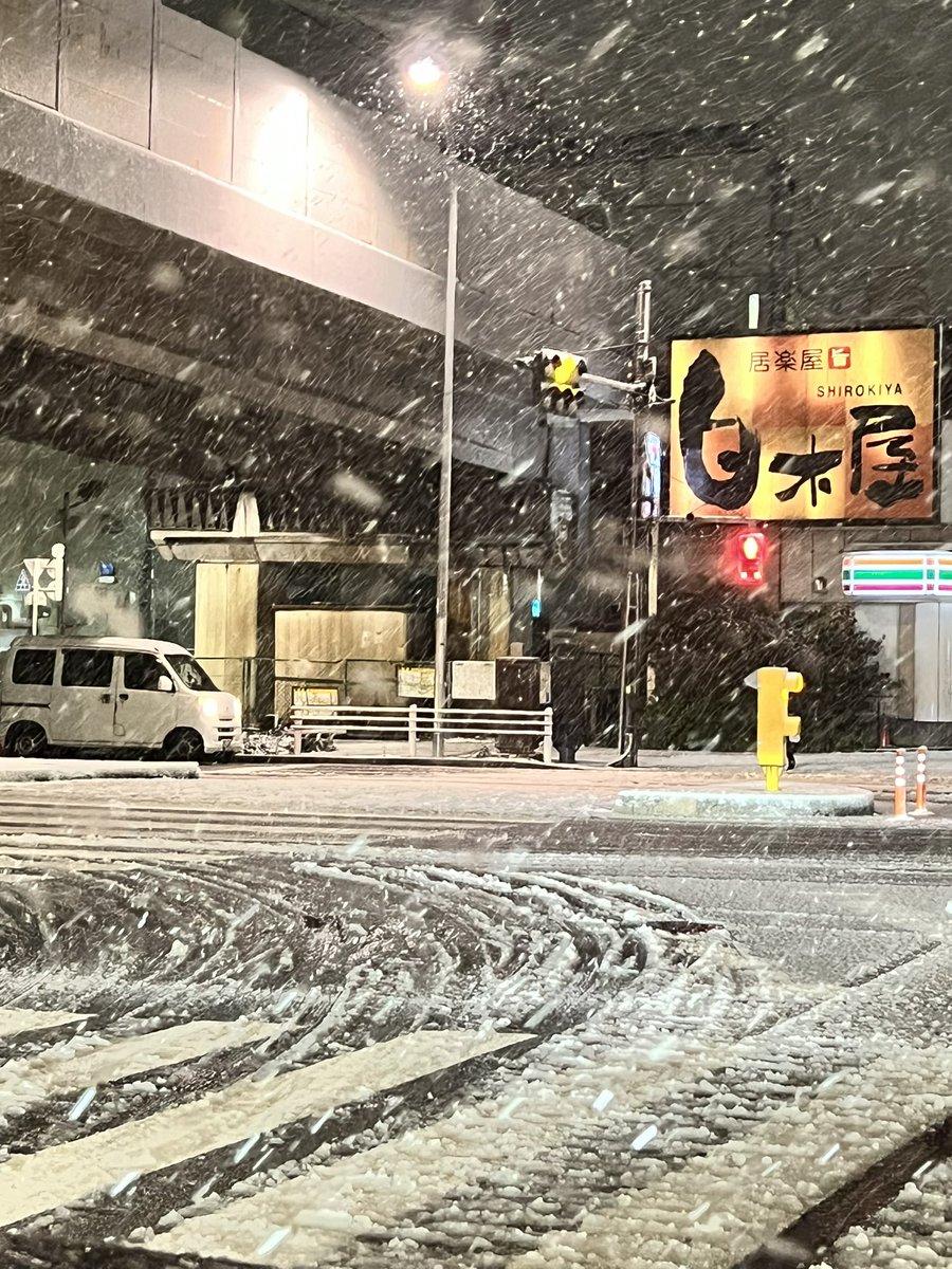magane86's tweet photo. 雪積もってきた☃️ https://t.co/mSneVpkOsJ