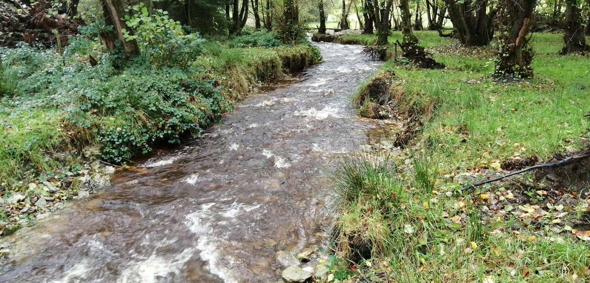 Peter Powell tweet media