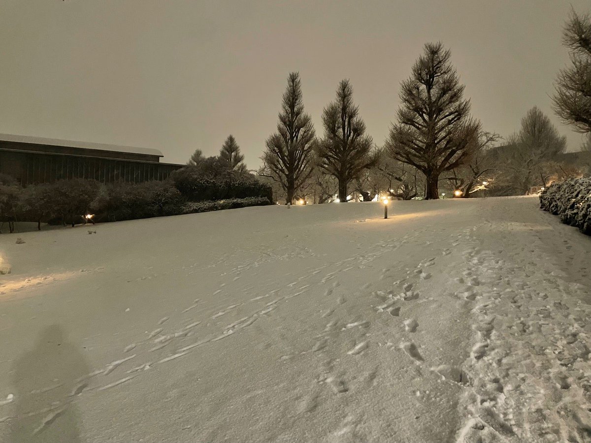 IUnS_252255's tweet photo. 大岡山国際スキー場 大岡山ゲレンデ in 目黒区, 東京都 https://t.co/fFYMbf4rNT https://t.co/kpm4BlZKfx