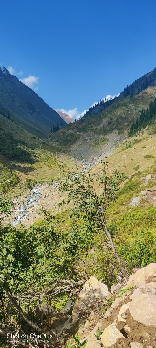 Rizi803's tweet photo. @PakistanJannatt https://t.co/XSNVVU9DBO
