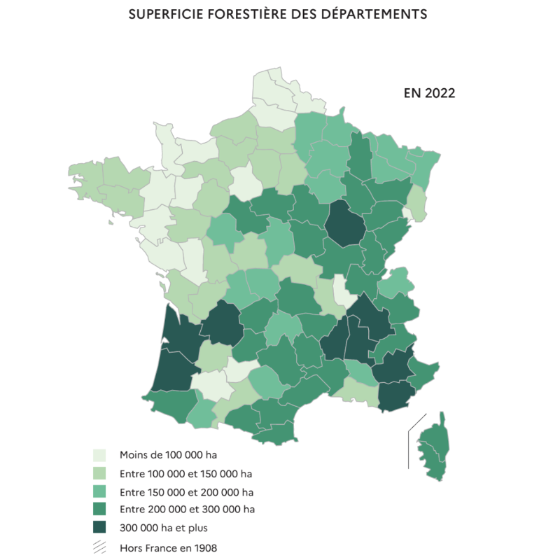 UCFFcoop's tweet photo. Si 63% des français positionnent la déforestation comme LA menace pesant sur les forêts métropolitaines, la réalité est tout autre.
Les forêts 🇫🇷 sont bien loin d'être surexploitées (encore moins déforestées) :
➕8⃣5⃣0⃣0⃣0⃣ ha de forêts/an
Surface forestière = ✖️2⃣ en 2⃣ siècles. https://t.co/9VruKbDQAm