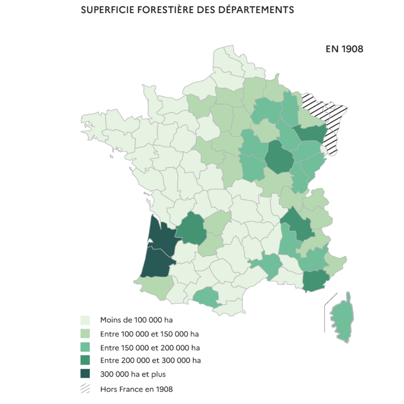 UCFFcoop's tweet photo. Si 63% des français positionnent la déforestation comme LA menace pesant sur les forêts métropolitaines, la réalité est tout autre.
Les forêts 🇫🇷 sont bien loin d'être surexploitées (encore moins déforestées) :
➕8⃣5⃣0⃣0⃣0⃣ ha de forêts/an
Surface forestière = ✖️2⃣ en 2⃣ siècles. https://t.co/9VruKbDQAm