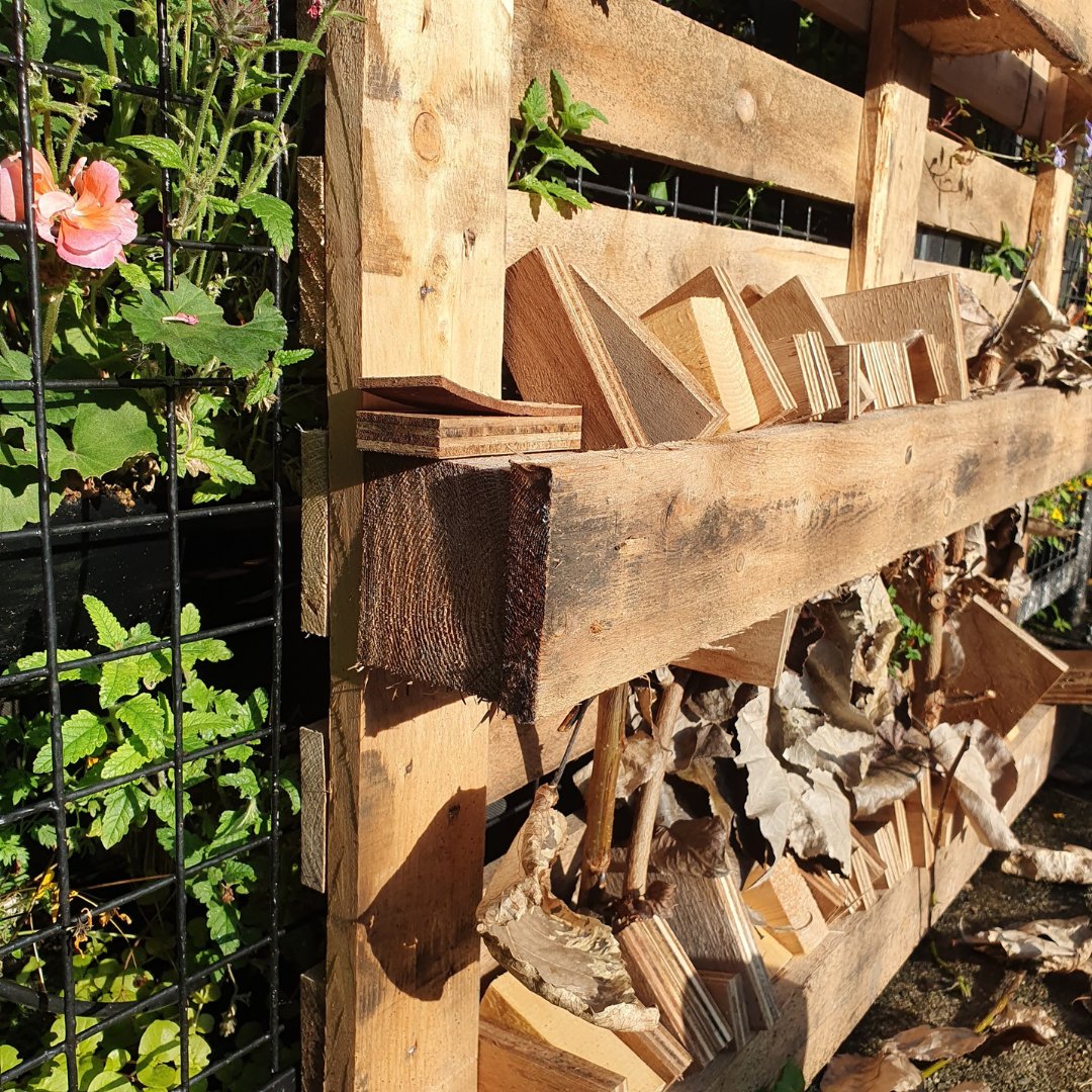 Our bug hotel, lovingly crafted by our staff, is a haven for #biodiversity in our hostel garden.🐞From pollination to pest control, these tiny guests provide invaluable benefits! Proudly boasting our @greentourism Silver Award, we're committed to nurturing our environment.🌱