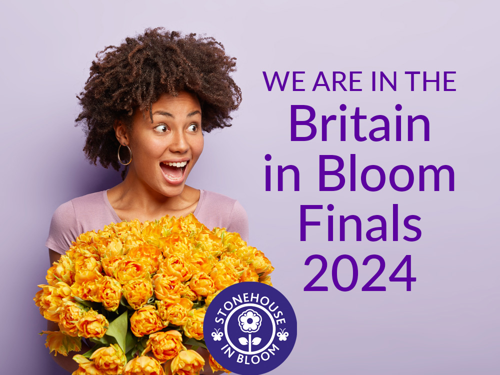 Whoop! Whoop! We have been entered into the national RHS Britain in Bloom Finals 2024! #excitedofstonehouse. If you want to be involved in our 2024 campaign please get in touch.#RHS #RHSBritaininBloom #UKFinals #wearegoingtoneedmorecake #RHSBloom60 @HOEInBloom @RHSBloom