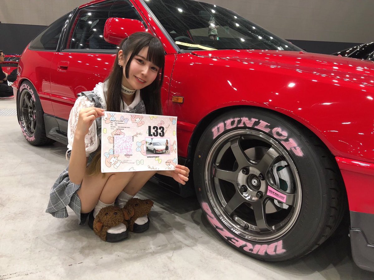 ねこちわわ tweet media