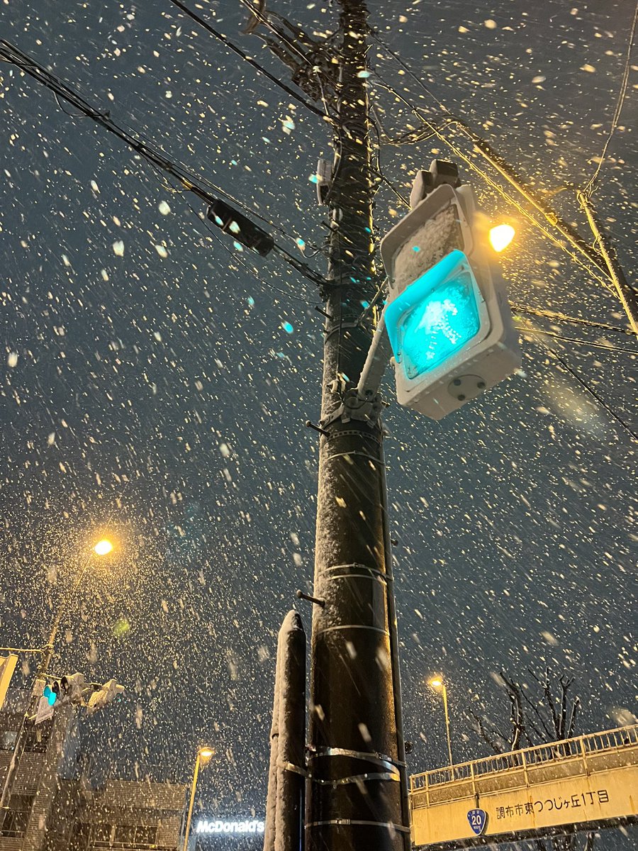 heart_shima's tweet photo. 東京スノーハード
#東京の雪 #東京 https://t.co/j9HCIdVZMX