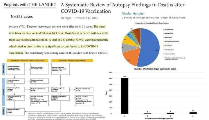 itsmeback_'s tweet photo. Confermato da The Lancet: il 73,9% dei decessi post-vaccinazione sono legati alla vaccinazione.

L’articolo afferma che il vaccino COVID-19 è responsabile della morte della maggior parte delle persone dopo l’iniezione.

👇👇👇 https://t.co/Buf5dTzfxJ