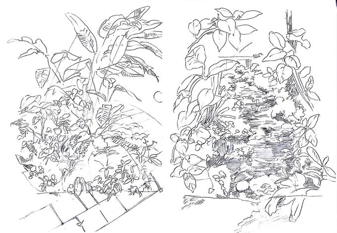 友達と下田スケッチ会に参加してきました。普段あいまいに考えてた樹木やら植物やらの根っこ周りに挑戦しました。楽しかった〜 