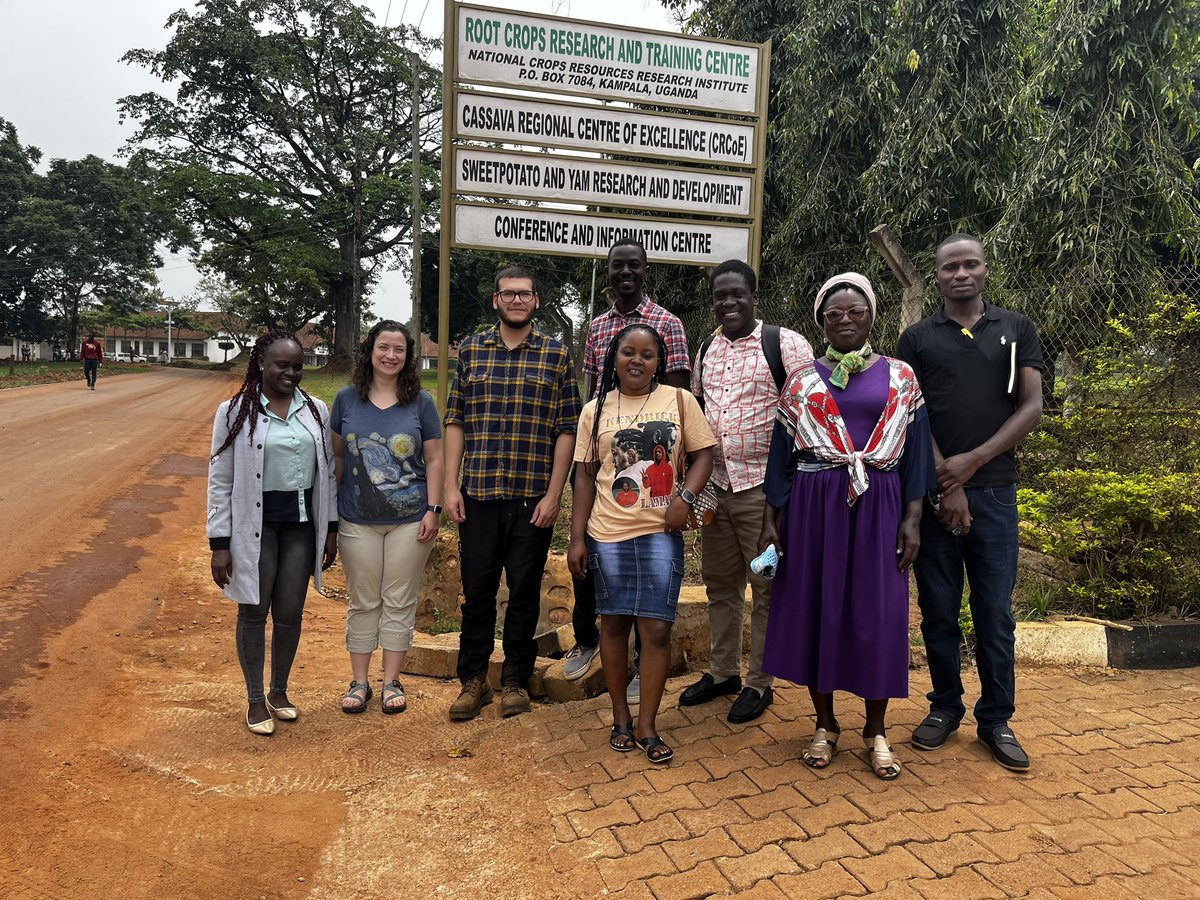 IR4_Director's tweet photo. Last day processing #RTBbreeding samples at @NARO_NaCRRI with @Carlomatrax @b_oloka @opiosamuel1 and the #UgandaWonderTeam We are really going to miss them and looking forward to our next reunion ๐ ๐ @NCSU_DEPP @NC_PSI @gatesfoundation @APS_OIP https://t.co/c2D0PO56OH