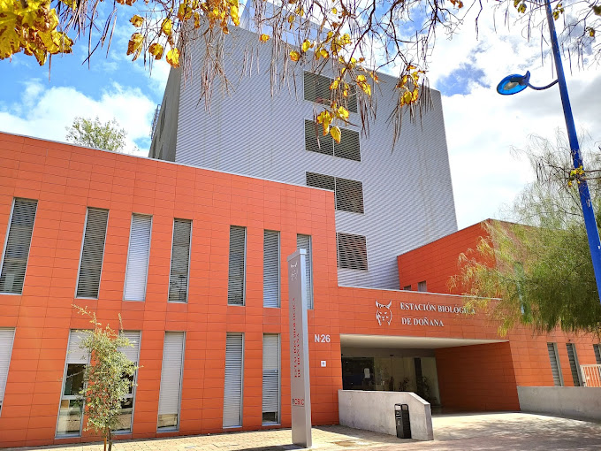 CSIC's tweet image. En la @ebdonana, que es una #ICTS, se investiga cómo se genera la biodiversidad, cómo se deteriora y las consecuencias de su pérdida. Hoy la han visitado la presidenta del CSIC, @delPinoE, y la secretaria general de Investigación, @EvaOrtegaPaino