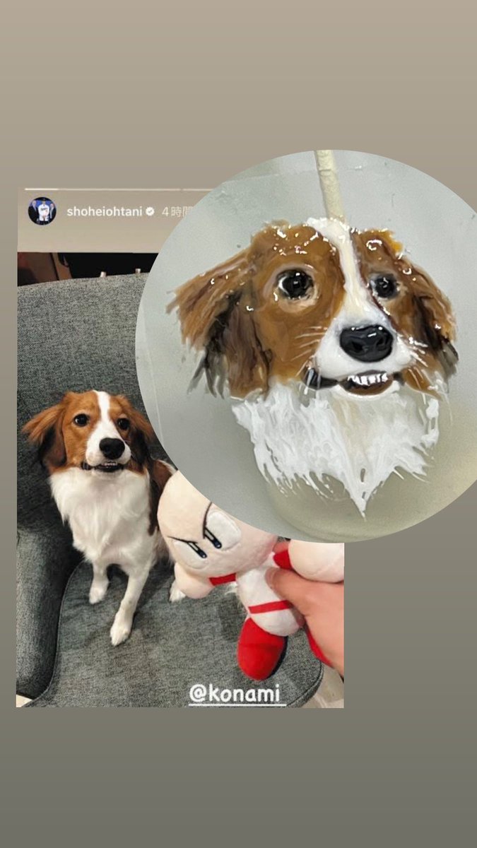 𝐶𝑜𝐶𝑜 ·̩͙꒰ঌ 𝐴𝑛𝑔𝑒𝑙'𝑠 𝑆ℎ𝑜𝑝 ໒꒱·̩͙ tweet media