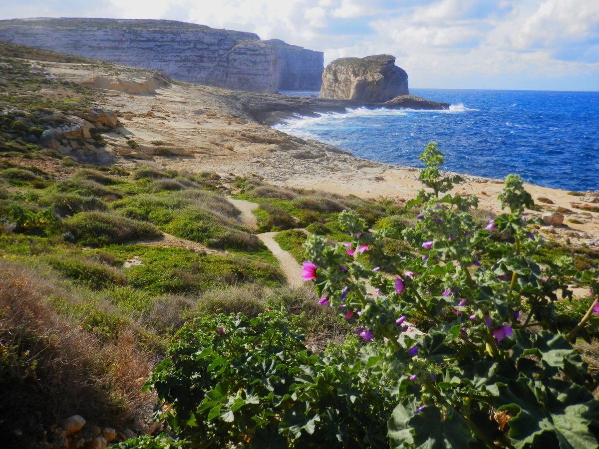 Wishing everyone a safe and enjoyable week #Dwejra #gozo #Natura2000 #marineprotectedareas #darkskypark #nature #heritage @dinlarthelwa #EveryoneNeedsNature #visitgozo @RobertaMetsola @MalteseTenor @VisitMalta @VisitGozo @NatureTrustMLT @BirdLife_Malta @FoEMalta @MaltaSeabirds