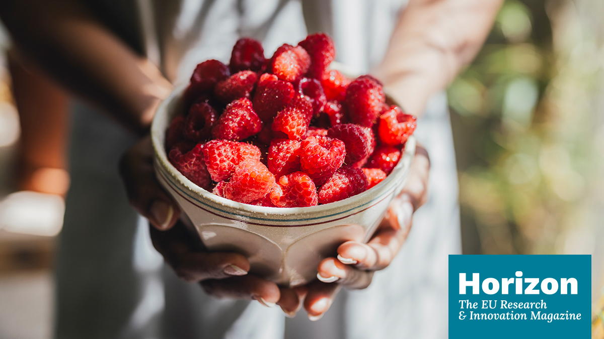 HorizonMagEU's tweet photo. Berry tasty: the fruits emerging from new breeding and #processing.  

Learn more ➡️ https://t.co/RXVoo8tJbM 

#ResearchImpactEU https://t.co/OYLRva66Re