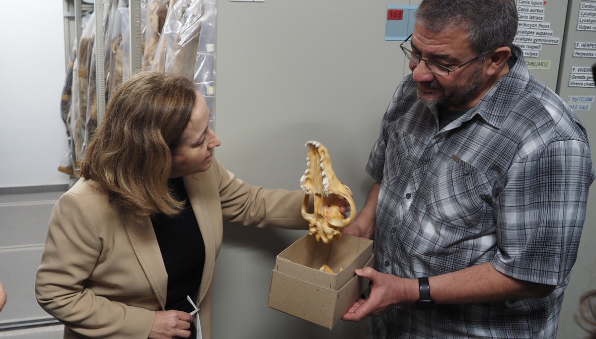 CSIC's tweet image. En la @ebdonana, que es una #ICTS, se investiga cómo se genera la biodiversidad, cómo se deteriora y las consecuencias de su pérdida. Hoy la han visitado la presidenta del CSIC, @delPinoE, y la secretaria general de Investigación, @EvaOrtegaPaino