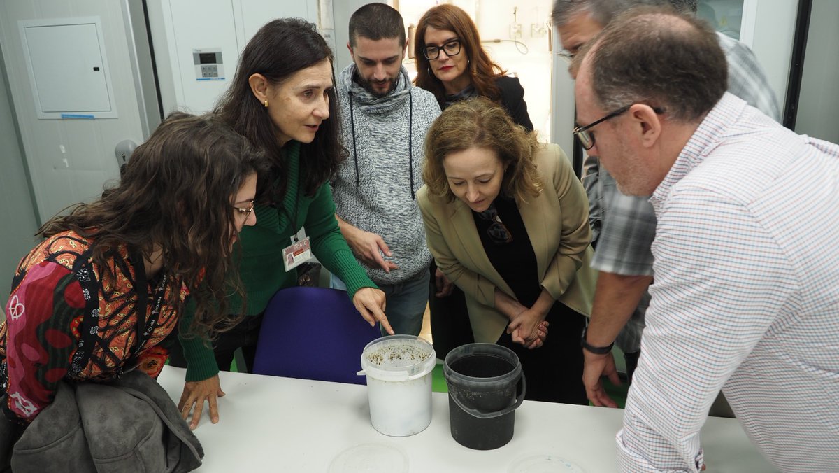 CSIC's tweet image. En la @ebdonana, que es una #ICTS, se investiga cómo se genera la biodiversidad, cómo se deteriora y las consecuencias de su pérdida. Hoy la han visitado la presidenta del CSIC, @delPinoE, y la secretaria general de Investigación, @EvaOrtegaPaino
