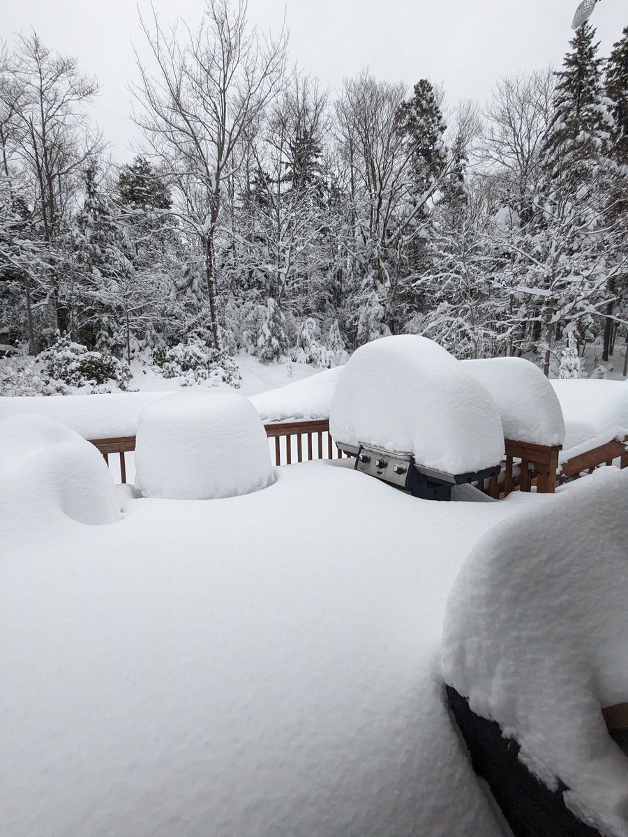 SultanTarnose's tweet photo. @jack929hfx https://t.co/gCgq7k5pr7