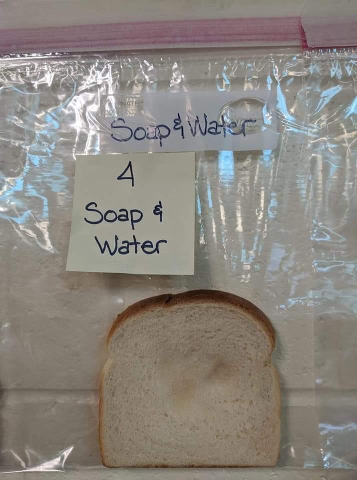Teacher shares results from a little science experiment in her classroom. And you guys thought masking kids was a good idea. 'We did a science project in class this last month as flu season was starting. We took fresh bread and touched it. We did one slice untouched. One with…
