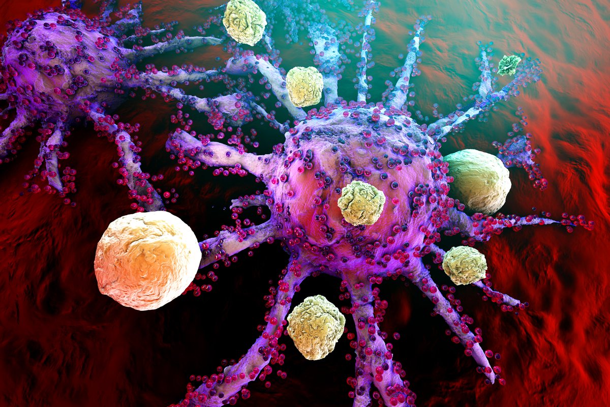 🔬 Exciting Discovery: A new #fluorescencemicroscopy technique allows for real-time observation of cellular interactions with unprecedented precision. A revolution for biomedical research! #Photonics  #ScienceBreakthrough #OxxiusTech #MicroscopyMonday

🔗oxxius.com/fluorescence-m…