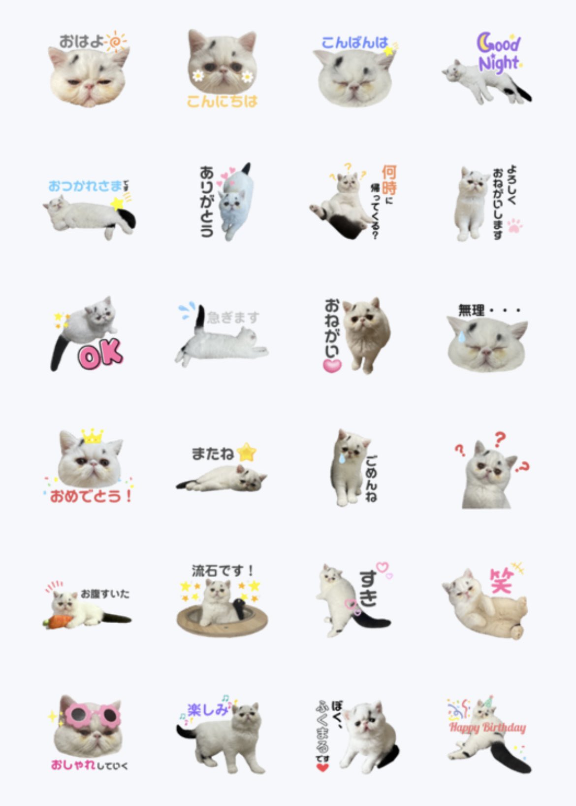 ふくまる（福丸） (@fukumaru_1001) / X