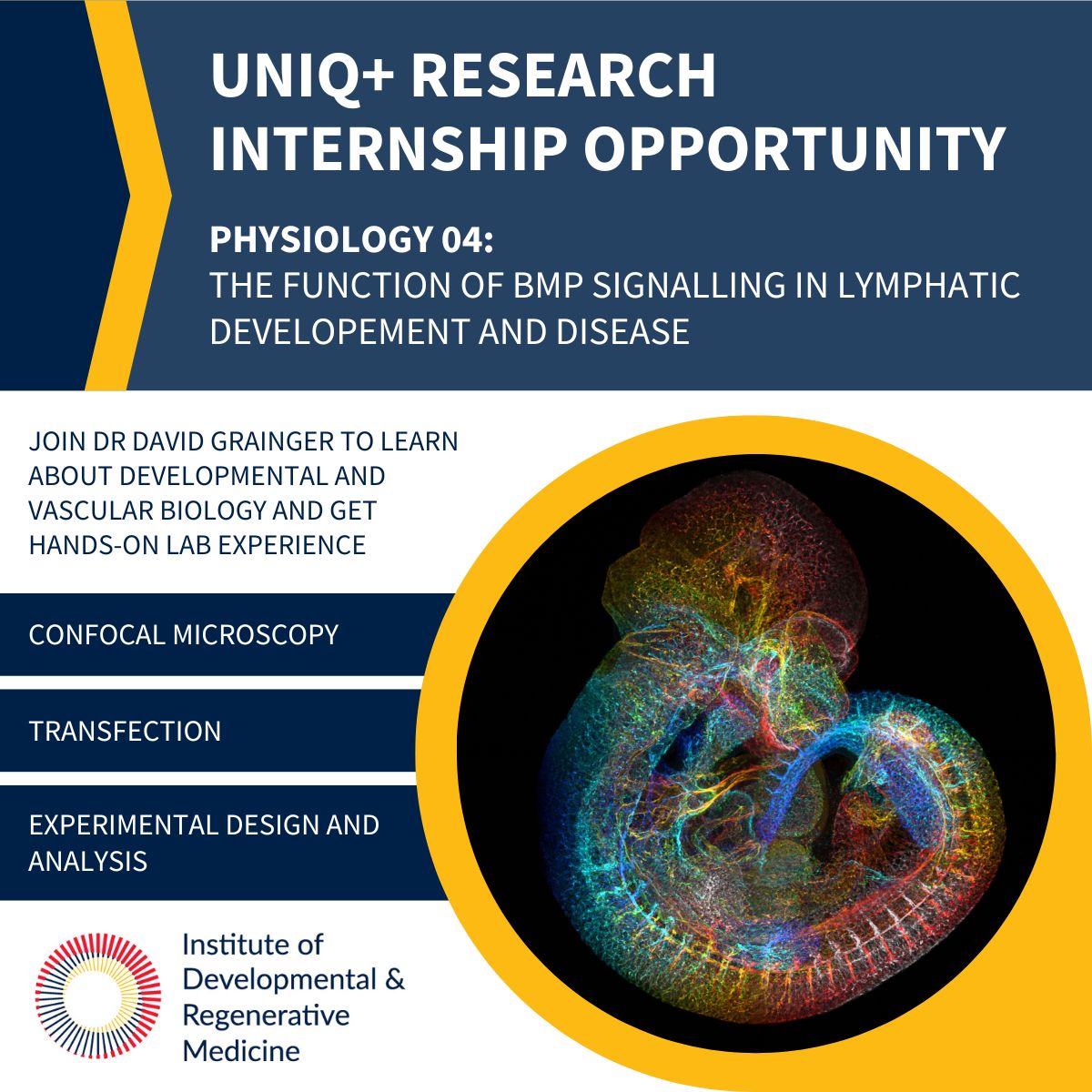 Curious about doing a PhD? Apply for our exciting internships and experience cutting edge research first hand. UNIQ+ research internships now open for applications from UK undergraduates from under-represented and disadvantaged backgrounds. ox.ac.uk/admissions/gra…