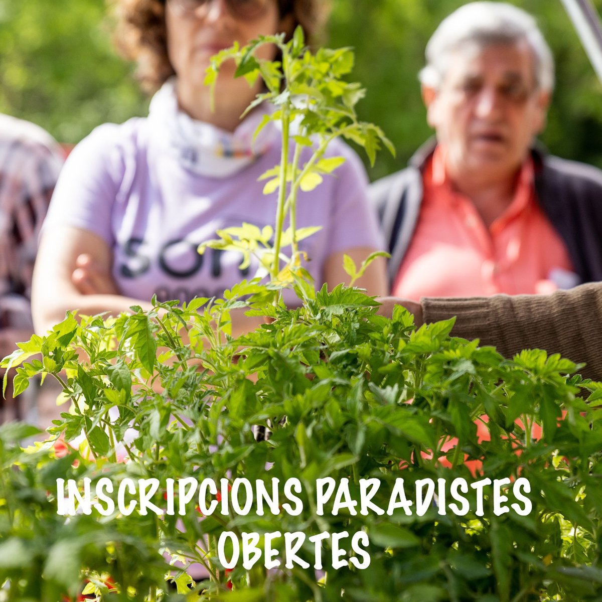 RodadeTer's tweet photo. 🥬 Obert el període d'inscripció per participar en la XII Fira de la Llavor
🍅 Els paradistes interessats poden fer la seva sol·licitud fins al 12 d'abril. La fira es fa el diumenge 28 d'abril.
👉  https://t.co/RetUPTHgbr

#rodadeter #Osona #llavor #firadelallavor #biodiversitat https://t.co/BD9VRjB7C2