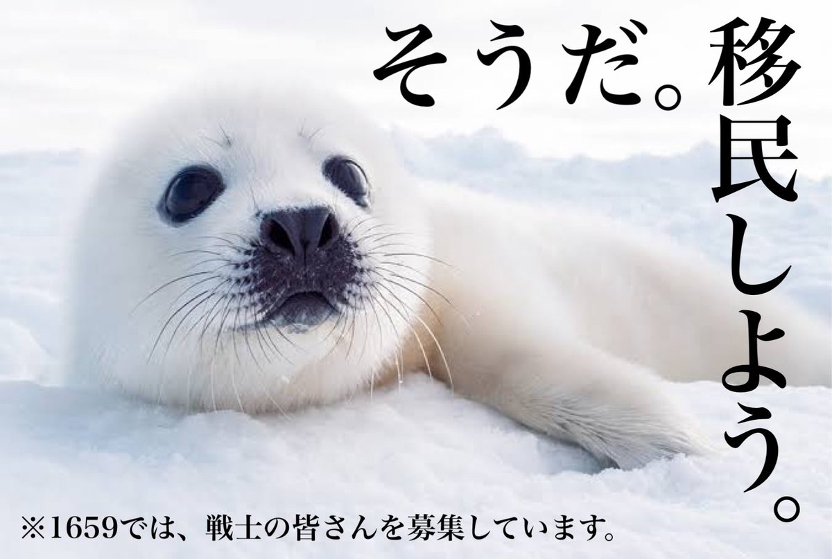 MGdragon12's tweet photo. 都内もめずらしく雪ですね。
寒い。やめて。

さて、私がおります1659サーバーではこの度大規模移民募集することになりました🪂
細かい話は置いといて、とりあえず画像みてください。
ちょーかわいい👻
移民をお考えの方、そこの！あなた！そう！あなた！！
ぜひお気軽にお問い合わせください。 https://t.co/JHDvwD7cgT