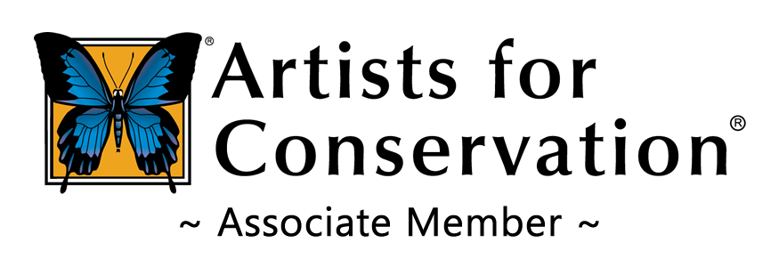 Josartstudio's tweet photo. Excited to be an associate member of artists for conservation. I am presently working on  two illustrations for a rhyming children's book regarding Belugas . Fact i did not know regarding Belugas Beluga whales live for around 35-50 years in the wild. https://t.co/aLfAXYqPif