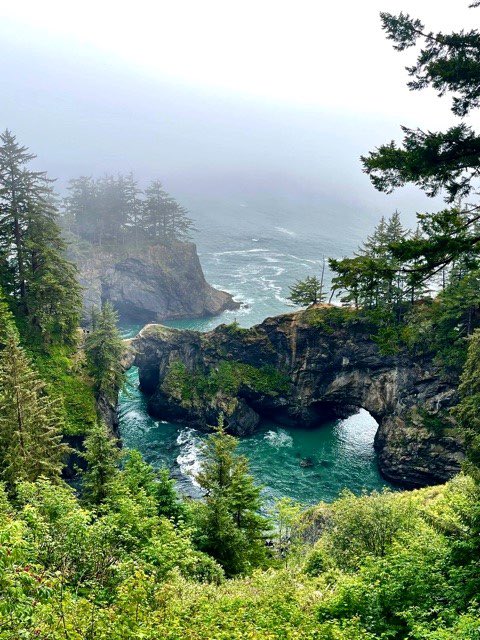 Around.Us tweet media