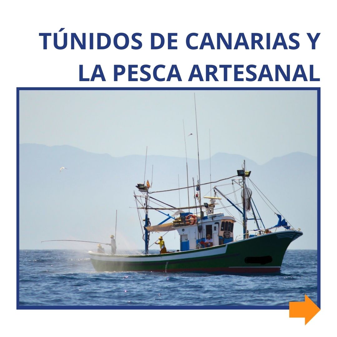 TenerifeGac's tweet photo. La pesca de túnidos ha desempeñado un importante papel en las Islas Canarias desde hace más de 2 siglos.
#canarias #tunidos #pescaartesanal https://t.co/hiyVJDfNam
