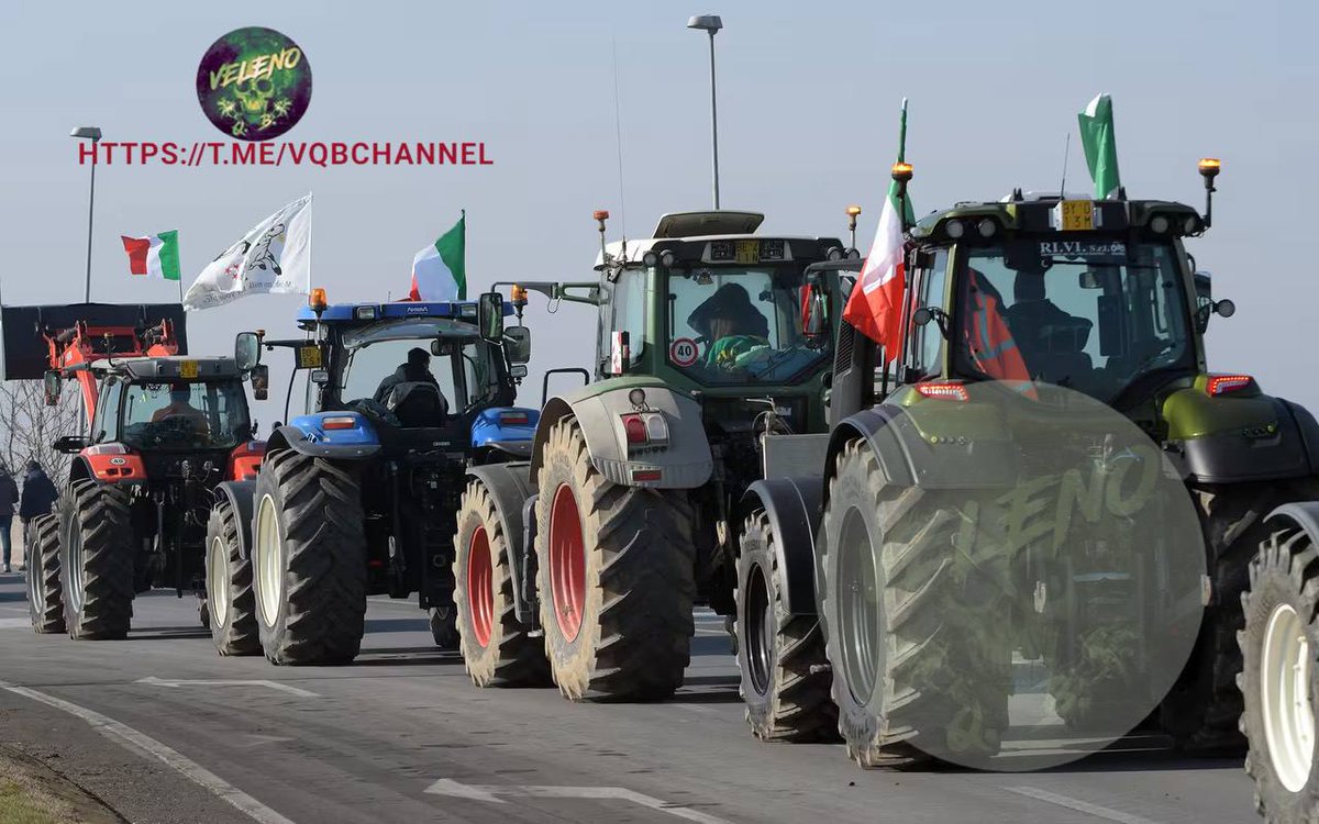 5 febbraio 2024, Italia

TRATTORI IN MARCIA VERSO LA CAPITALE

Sono partiti alla volta di Roma i trattori che si trovavano nel presidio, organizzato da Riscatto Agricolo, nei pressi del casello Valdichiana sulla A1 dove da 7 giorni i manifestanti istituiscono blocchi temporanei