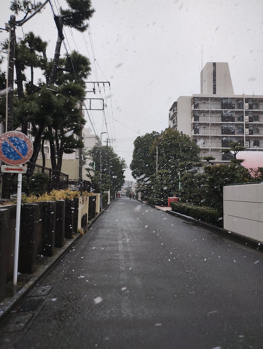 shonanmajor's tweet photo. 久しぶりの #雪 ⛄ですね!
#コロポックル 前も真っ白になりました❄
夜には #強風 すぎて雪も飛んでちゃいそうですが💦
#明日の朝 は #凍結 にご注意ください💦
#湘南 #平塚 #寒い #みぞれ混じり https://t.co/VETCJ4pABe