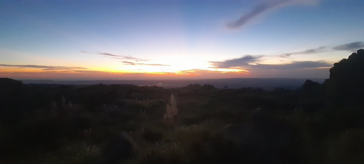 ¿Algo más lindo que esto?