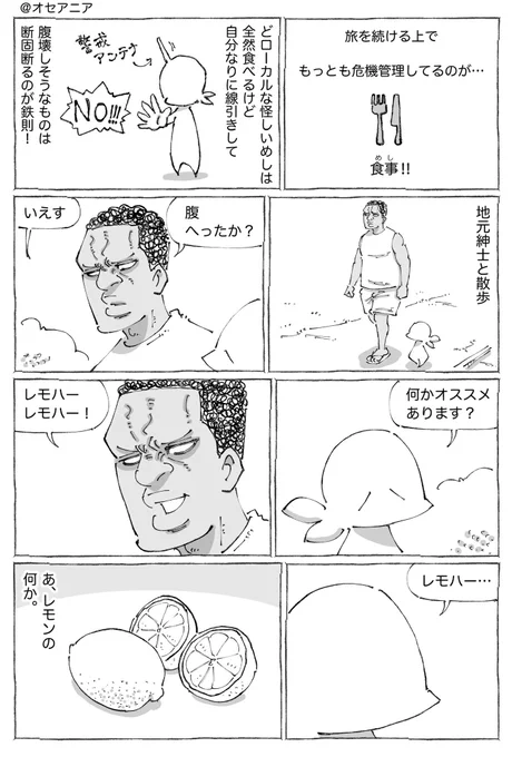 海外のネイティブレモンめし。 