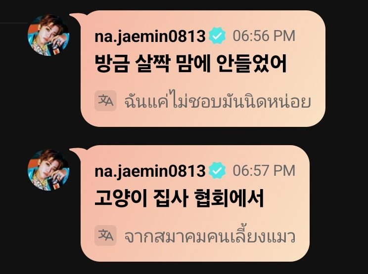สมาคมคนเลี้ยงแมวไม่พอใจมาก 555555555555