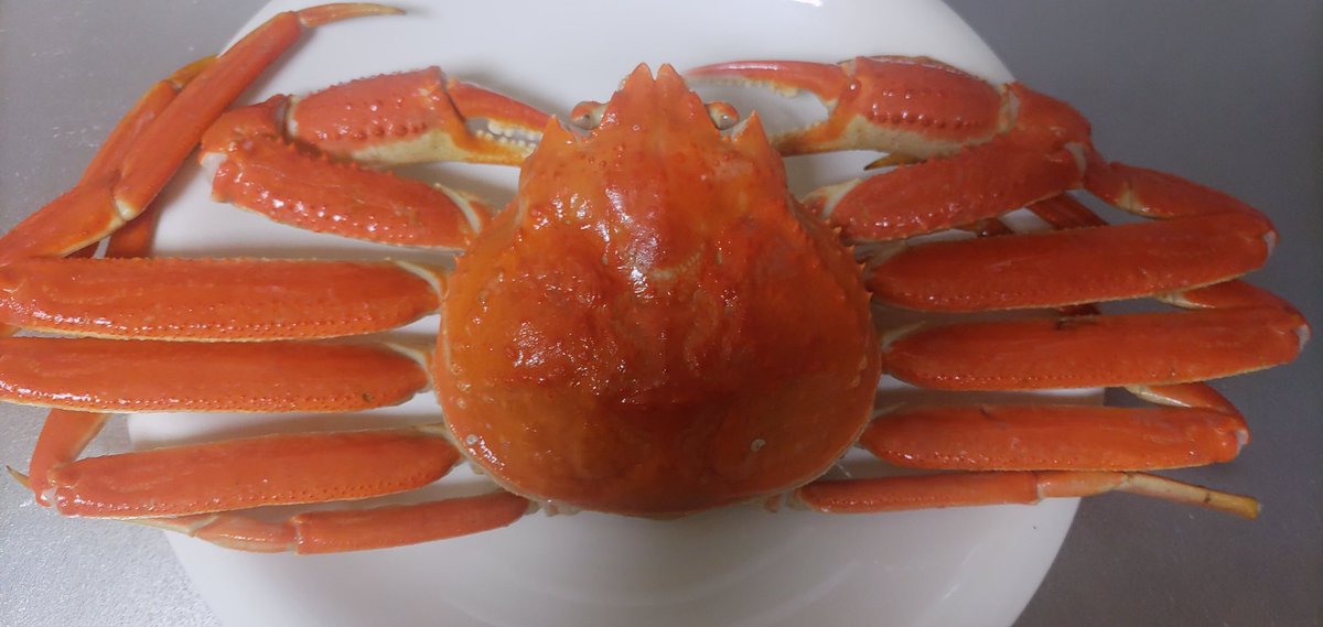 doremifar0310's tweet photo. 冷凍庫に入りきらなかったので、平日の何でもない日に蟹食べました https://t.co/ce8on7aqHi