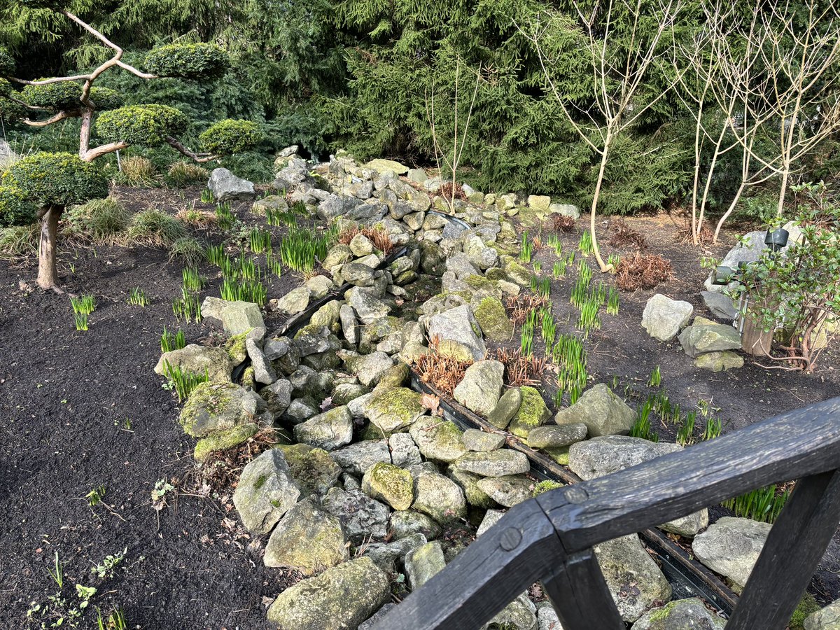 EftelGroen's tweet photo. De waterval in de siertuin in het Sprookjesbos doet het niet meer. Hoogstwaarschijnlijk al langere tijd aangezien de stenen er aardig droog uit zien.
#efteling #siertuin https://t.co/OB3zJxtRdS