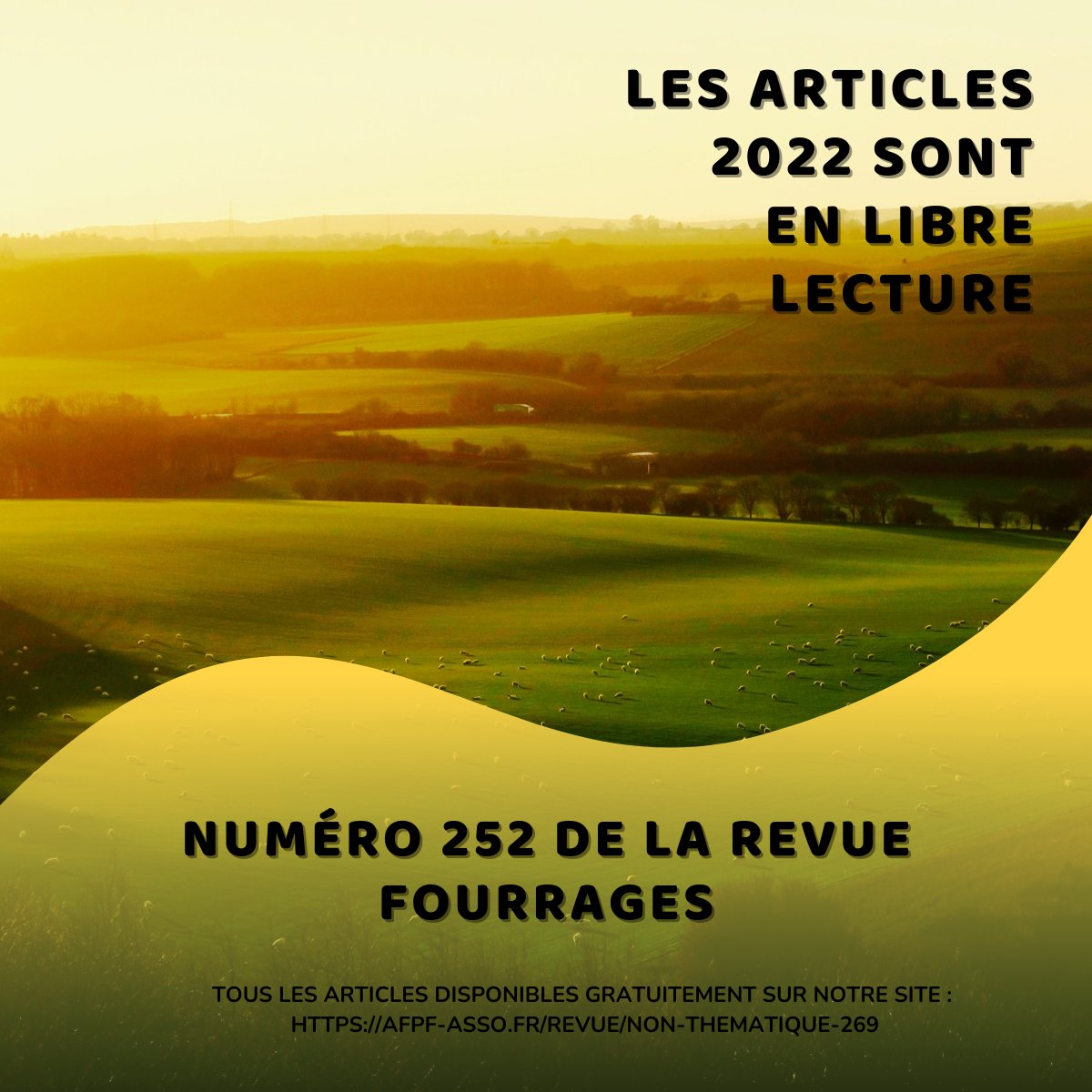 AFPF_FrPrairie's tweet photo. Lecteurs et lectrices de la revue Fourrages, les numéros de 2022 sont en libre lecture 🌱
Venez vite le découvrir notre numéro 252 sur notre site : https://t.co/72ZB9RsQFm
#Fourrages #AFPF #articles #articlesscientifiques #Prairies https://t.co/XBpnEpp4B8