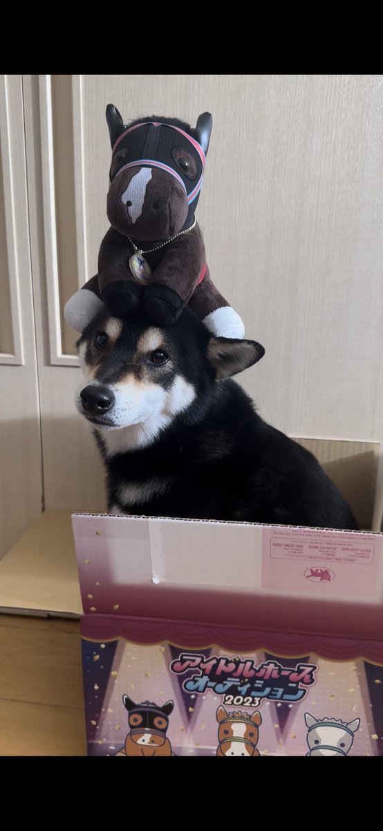 xxmie-disneyxx tweet media