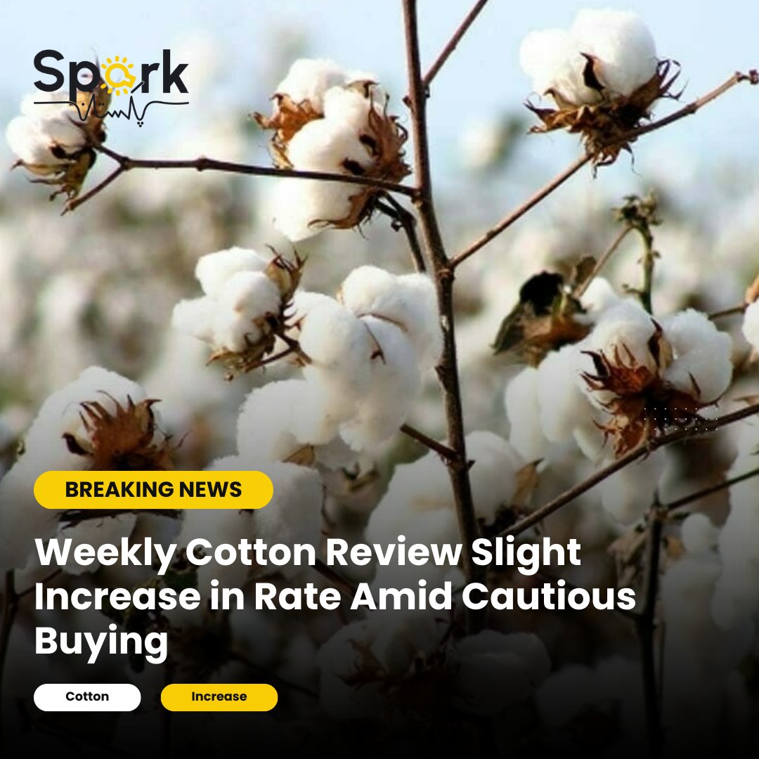 Pakistan's cotton production nears target amid concerns over industry stability and government policies

#PakistanCotton #TextileIndustry #EconomicChallenges #TradePolicy #TariffReduction #GasPrices #ExportConcerns #EconomicOutlook #USDAReport #MarketStability
