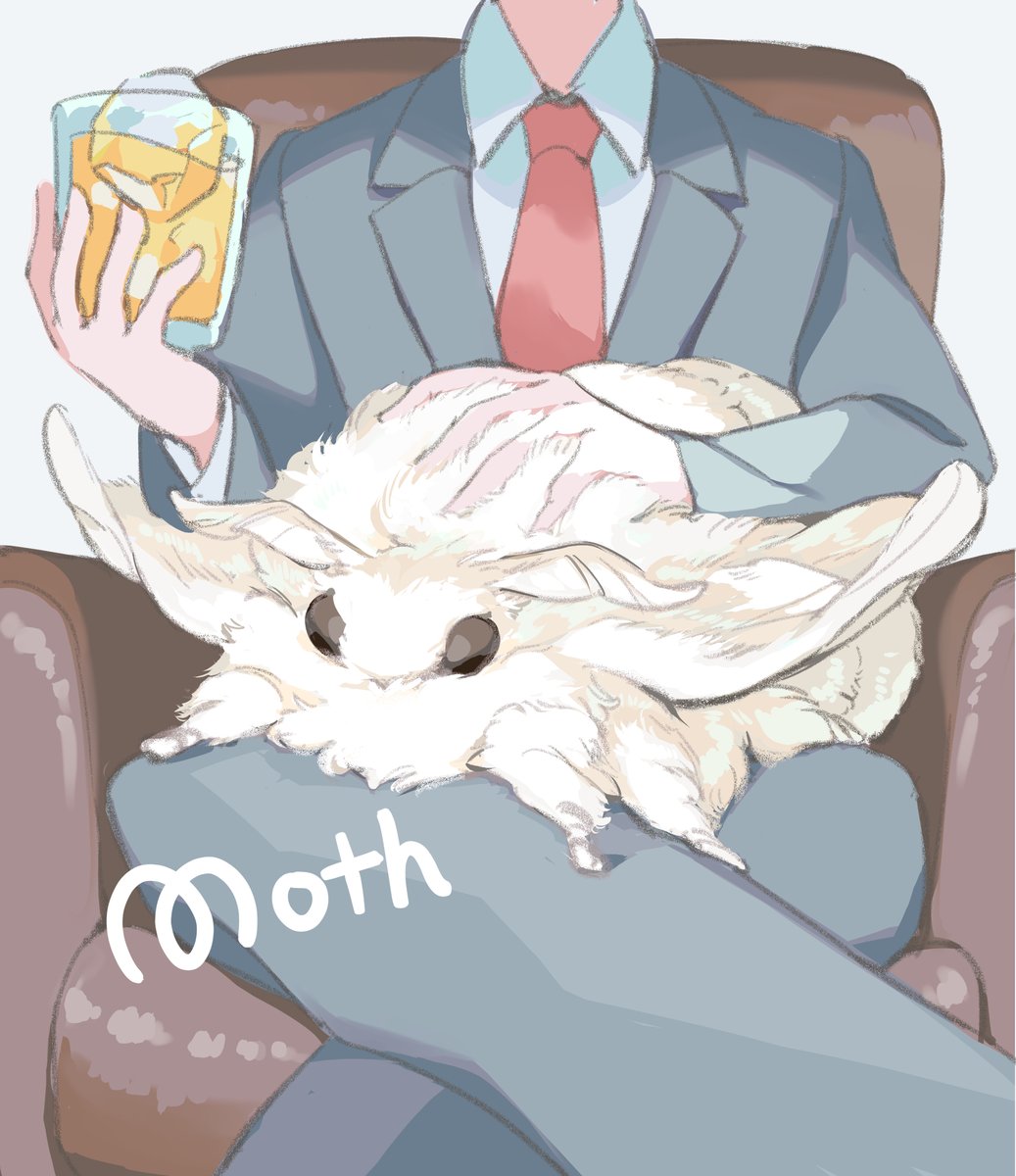 life_with_moth's tweet photo. Big, fluffy moths lounging in the boss's lap https://t.co/MUehbWh4tp