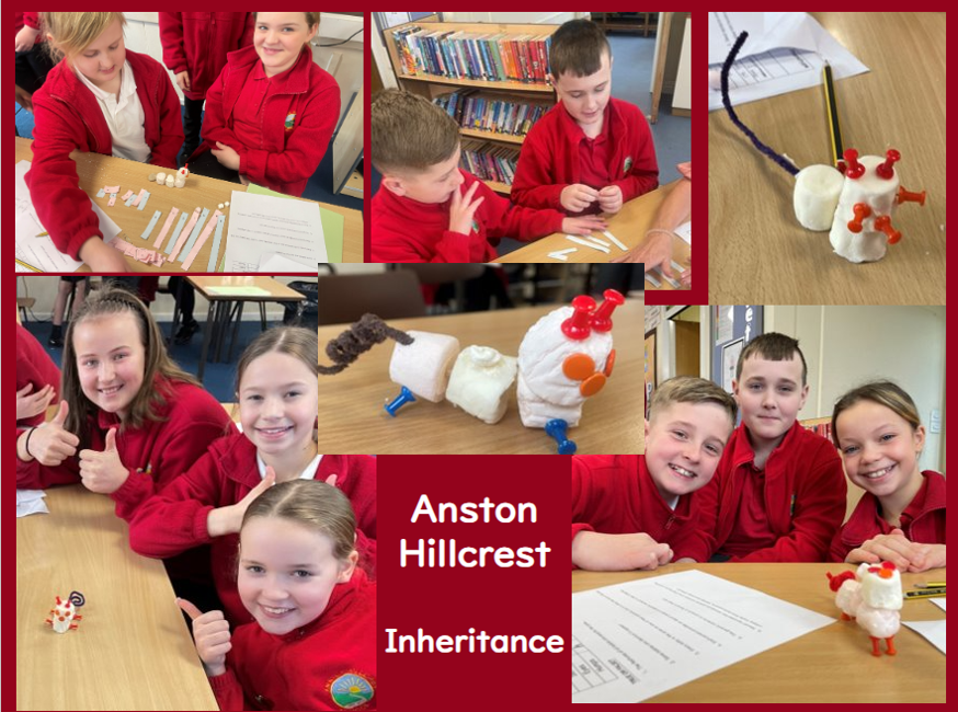 Millie Gelder tweet media