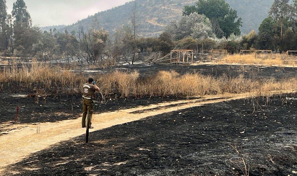 carab_ohiggins's tweet photo. #IncendiosForestales: @Carab_Ohiggins de la Sección Criminalística Labocar #Rancagua, efectúa -a esta hora- diligencias investigativas en la localidad de El Manzano, comuna de #LasCabras, para establecer las causas de origen del  incendio forestal en esta zona.
#OrdenyPatria https://t.co/tgsgxbrvBC
