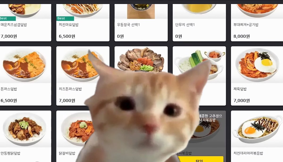 🍼uwu y쭌 우유🐾🏀 tweet media