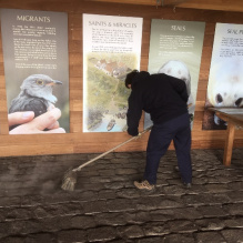 ***ISLE OF MAY VOLUNTEERS NEEDED*** Are you looking to develop your career in conservation, between years at Uni or looking for career change? The Isle of May is recruiting volunteers for the new season. The blog has the info: isleofmaynnr.wordpress.com