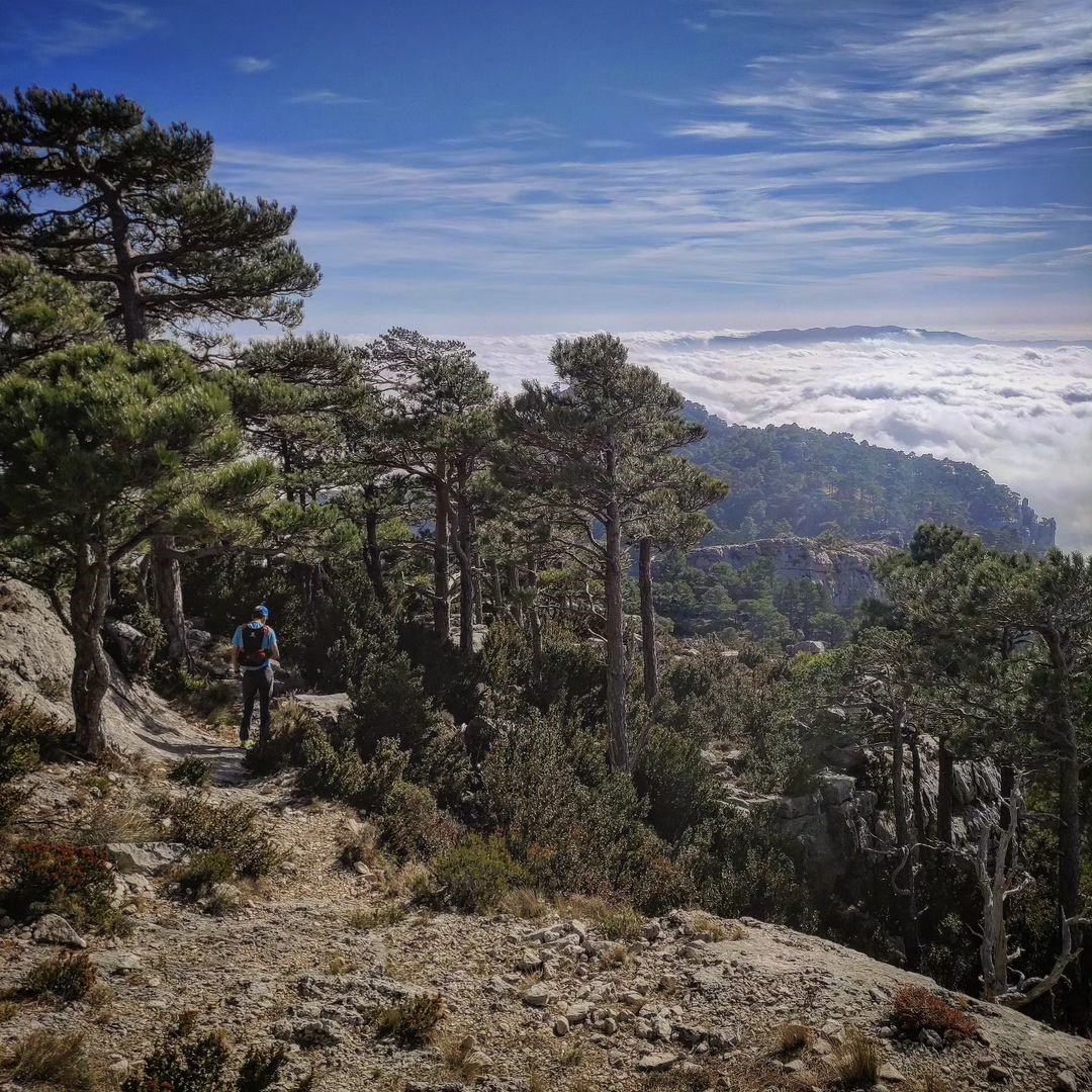 Explora els impressionants paratges del Parc Natural dels Ports, un paradís per als amants de la muntanya i el senderisme. 🏞️🥾
📲 bit.ly/3gOqKyY
📷@esthertuset
#TortosaAunPas #terresdelebre #catalunyaexperience #ciutatsambcaracter #GrandTourCatalunya #travel #spain