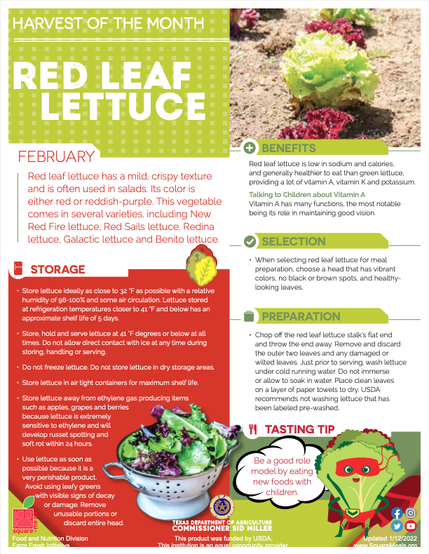 CafeSISD's tweet photo. Our "Harvest of the Month" for February is red leaf lettuce. Students will be have a tossed red leaf salad on February 16th. #ChildNutrition #ServeNourishEnrich #1TRIBE #SISD #HOTM https://t.co/GnG7TDKtOG