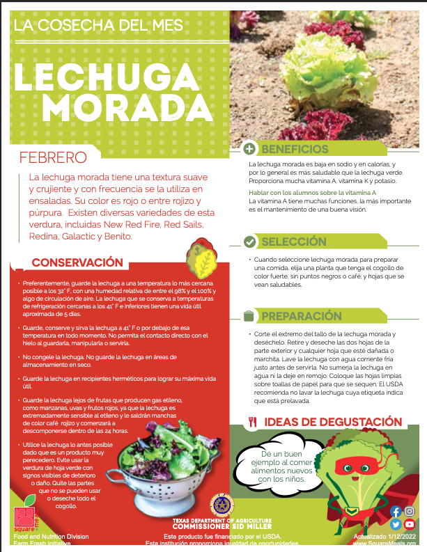 CafeSISD's tweet photo. Our "Harvest of the Month" for February is red leaf lettuce. Students will be have a tossed red leaf salad on February 16th. #ChildNutrition #ServeNourishEnrich #1TRIBE #SISD #HOTM https://t.co/GnG7TDKtOG