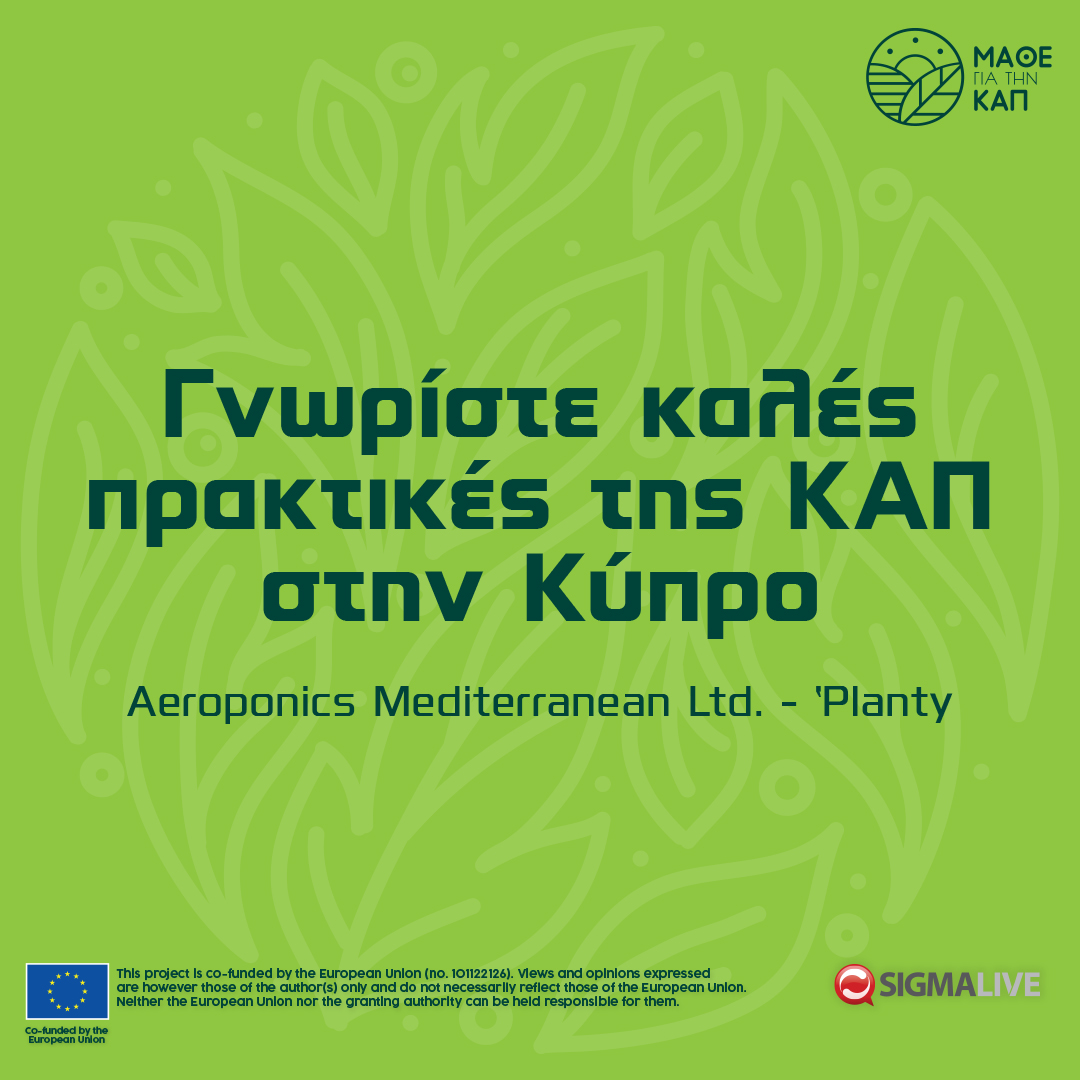 learnaboutcap's tweet photo. 🌿 Η Aeroponics Mediterranean Ltd αναβαθμίστηκε με χρηματοδότηση από το Πρόγραμμα Αγροτικής Ανάπτυξης (2017-2019). Νέο υπερσύγχρονο θερμοκήπιο, φυτώριο, υδροπονική καλλιέργεια και εγκαταστάσεις συσκευασίας. #imcap #learnaboutcap #euagri #agriculture #farmers #EU https://t.co/9SnJFUhd0V
