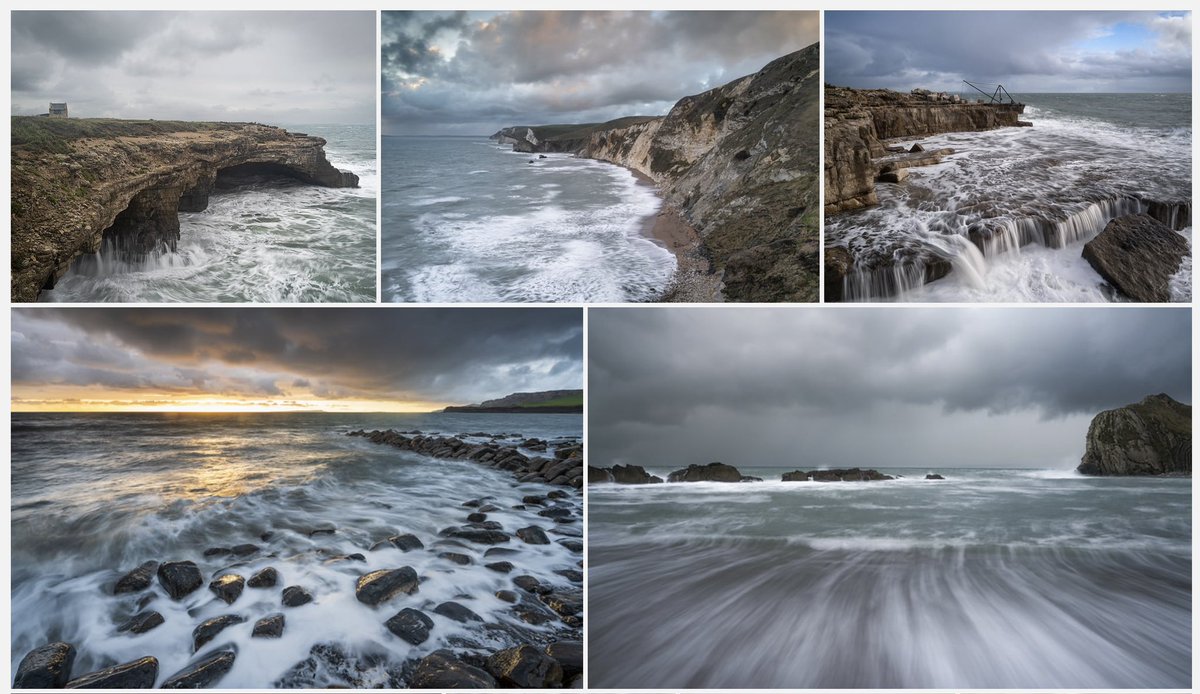 garnerweb's tweet photo. More photo processing, now only 14months behind! These from Dorset in Nov 2022. See https://t.co/rtqpwBr7lg for hi-res versions of these and more https://t.co/uKe0iXB2WQ