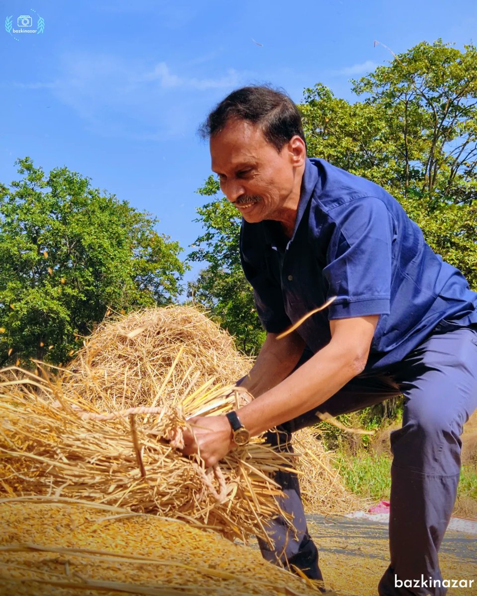 bazkinazar's tweet photo. TAP ❤️ to live the PROCESS ⚒️
भात मळणी
#bazkinazar #photography #ArtistOnTwitter #PhotoOfTheWeek #MondayMotivation #photographer #farmer #Farmers #शेतकरी #मेहनत #hardwork https://t.co/OSvkbMkNGu